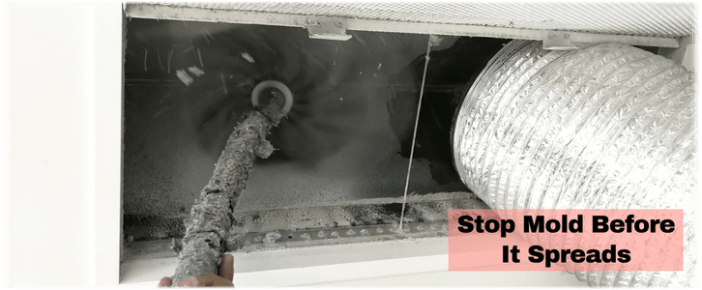 Air Duct Mold Removal in Lewisville