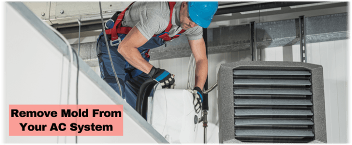 HVAC Mold Removal Lewisville